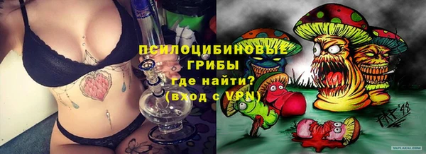 стаф Алексеевка