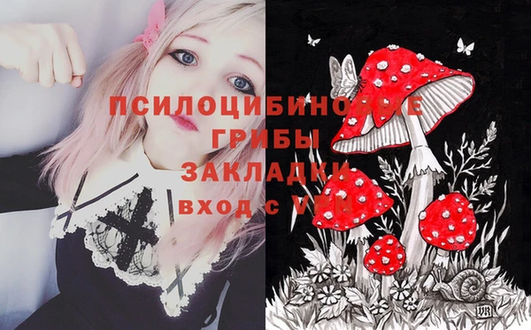 ГАЛЛЮЦИНОГЕННЫЕ ГРИБЫ Алексин