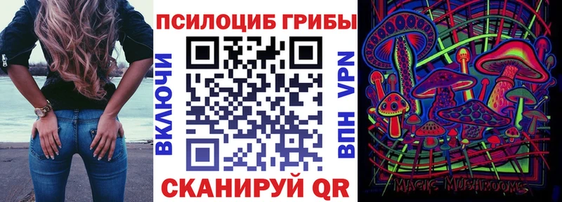 Галлюциногенные грибы Psilocybe  Чердынь 